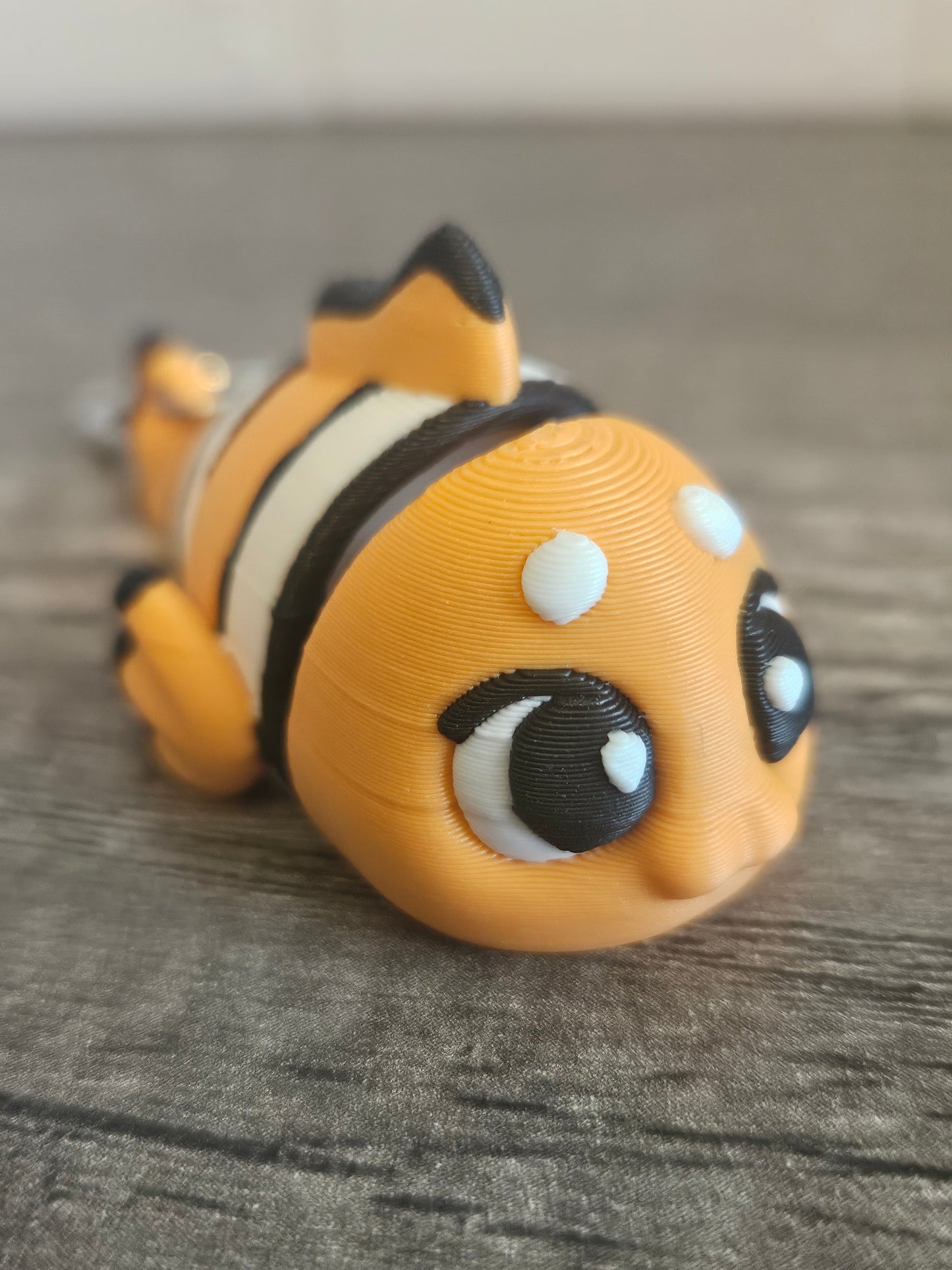 Clown Fish